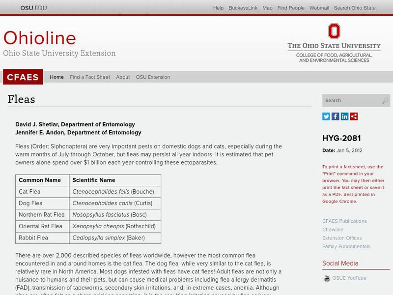 Osu: Flea Fact Sheet Handout Osu: Flea Fact Sheet Handout