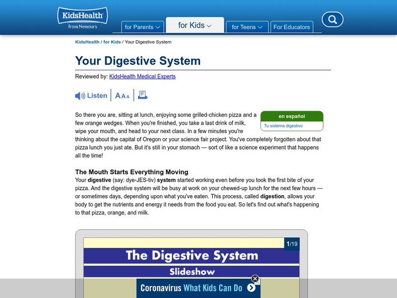Kids Health: Your Digestive System Article Kids Health: Your Digestive System Article