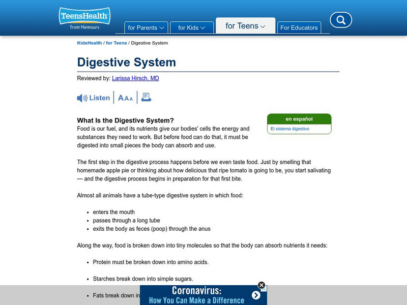 Kids Health: Digestive System Handout Kids Health: Digestive System Handout