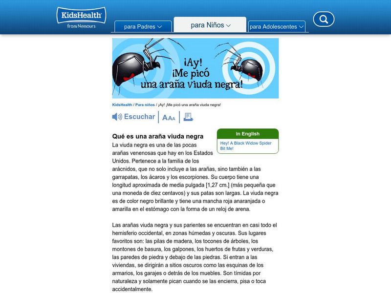 Kids Health: Ay! Me Pico Una Arana Viuda Negra! Website Kids Health: Ay! Me Pico Una Arana Viuda Negra! Website