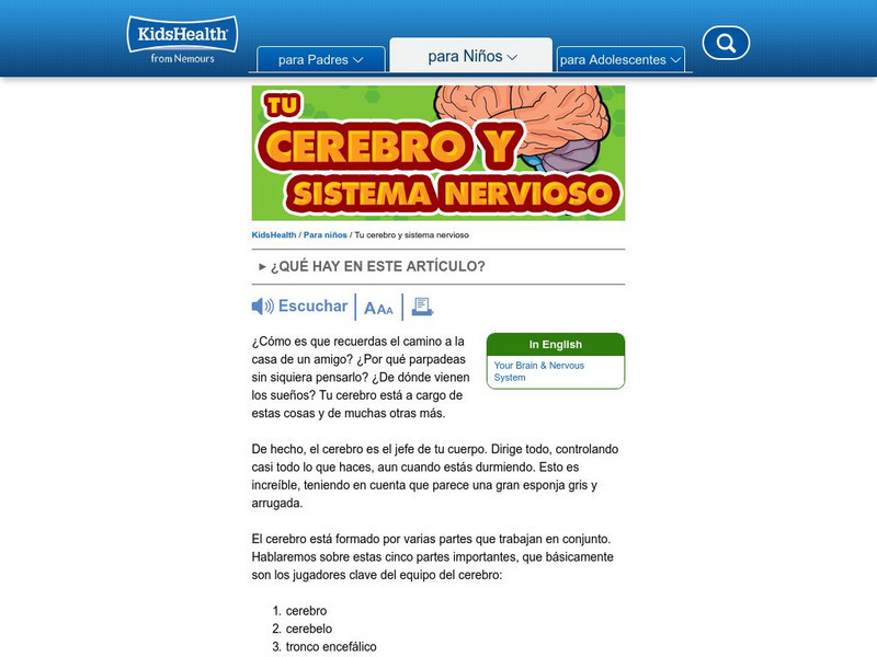 Kids Health: Tu Cerebro Y Sistema Nervioso Website Kids Health: Tu Cerebro Y Sistema Nervioso Website