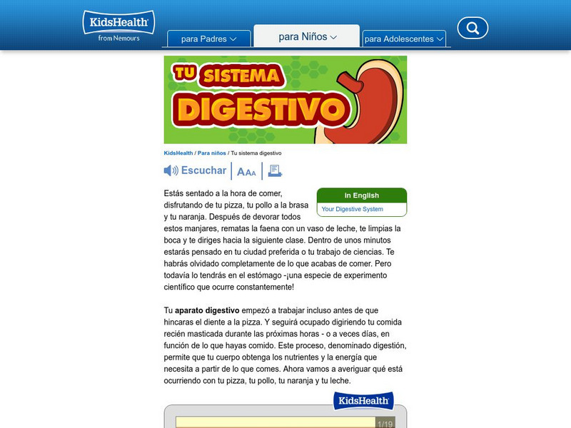 Kids Health: Tu Sistema Digestivo [In Spanish] Handout