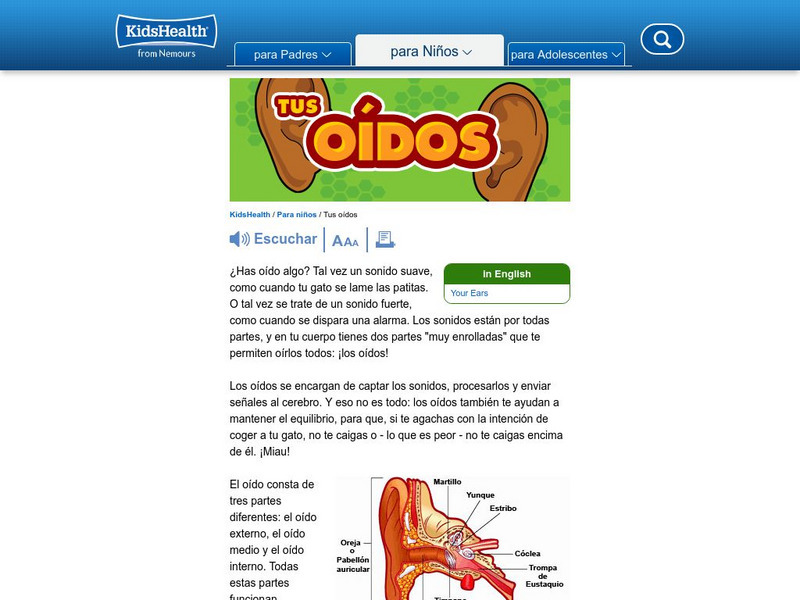 Kids Health: Tus Oidos Handout Kids Health: Tus Oidos Handout