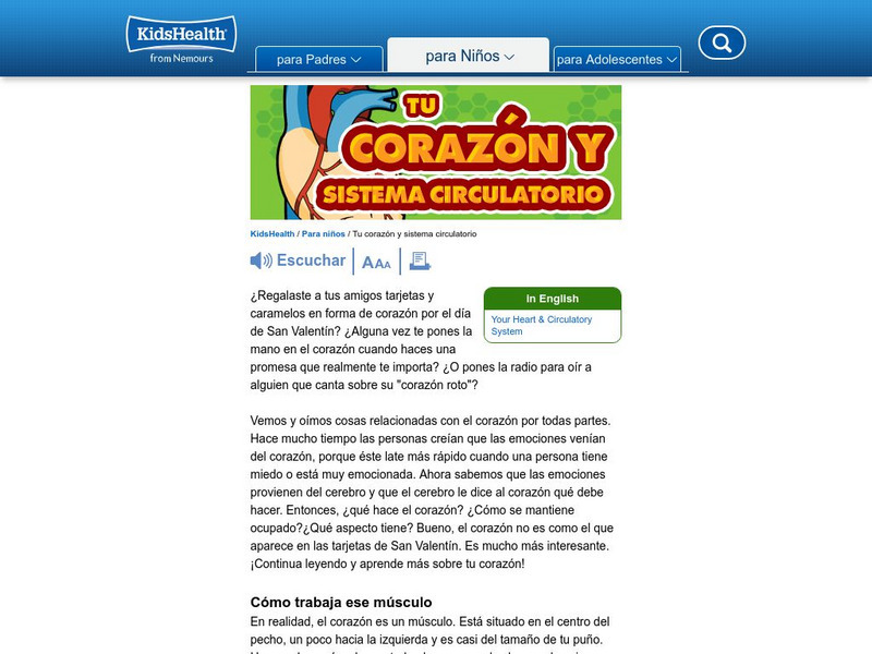 Kids Health: Tu Corazon Y Sistema Circulatorio Handout