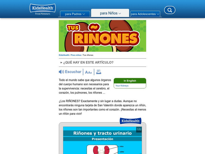 Kids Health: Tus Rinones Handout