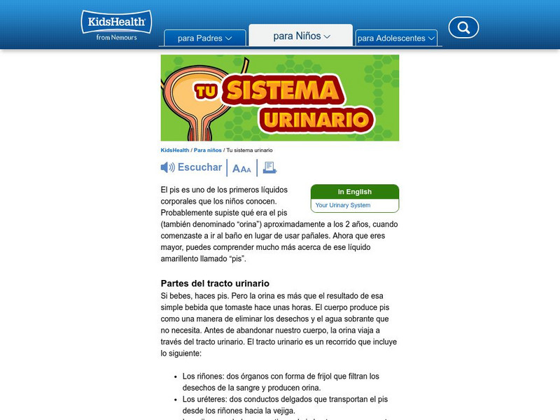 Kids Health: Tu Sistema Urinario Handout