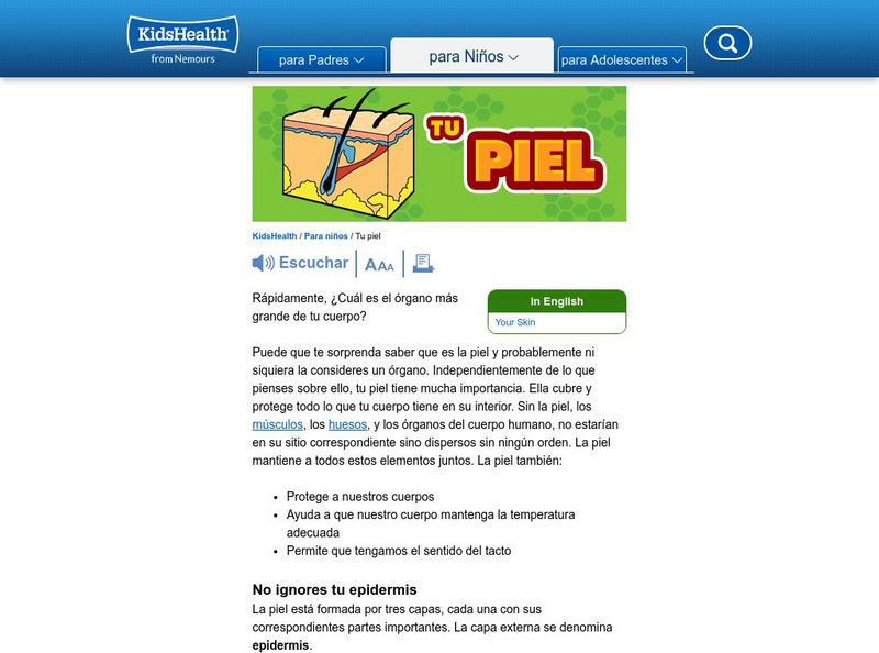 Kids Health: Tu Piel Handout Kids Health: Tu Piel Handout