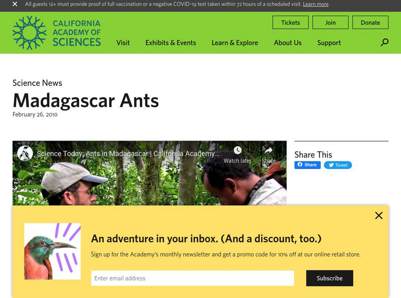 California Academy of Sciences: Madagascar Ants Instructional Video California Academy of Sciences: Madagascar Ants Instructional Video
