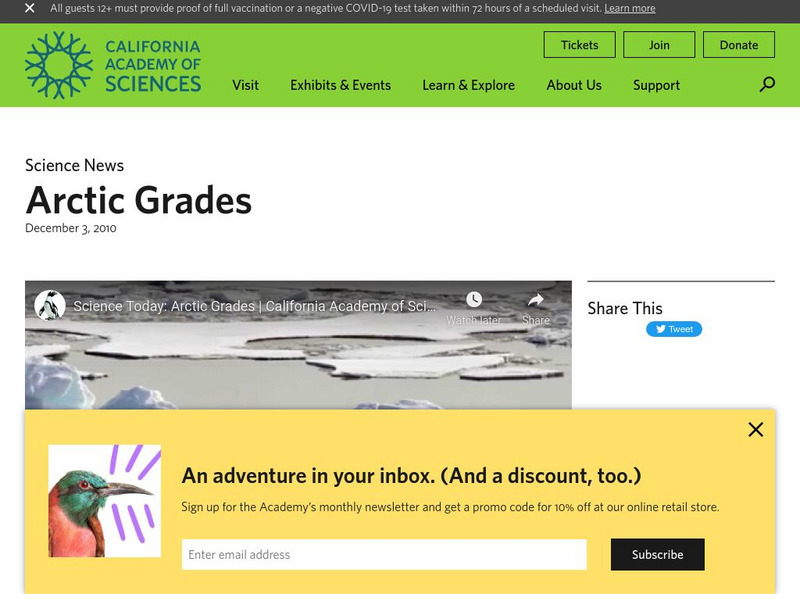 California Academy of Sciences: Arctic Grades Instructional Video California Academy of Sciences: Arctic Grades Instructional Video