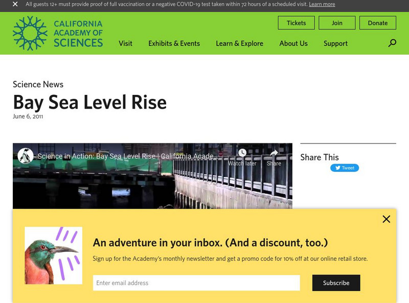 California Academy of Sciences: Bay Sea Level Rise Instructional Video California Academy of Sciences: Bay Sea Level Rise Instructional Video