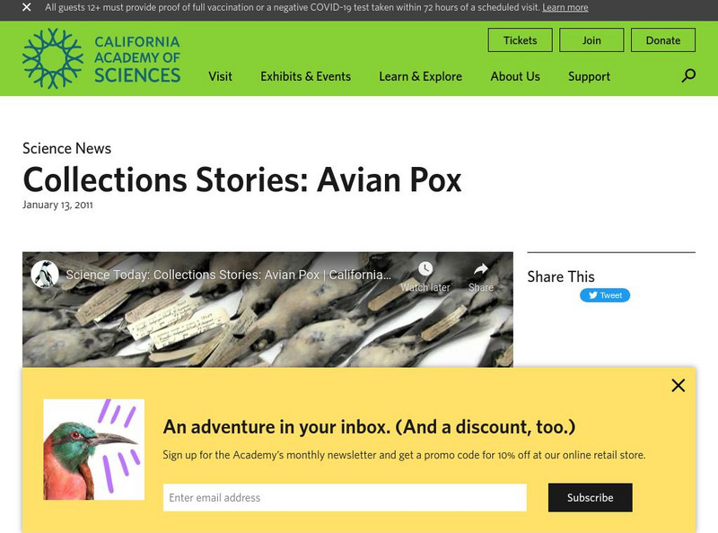 California Academy of Sciences: Collections Stories: Avian Pox Instructional Video California Academy of Sciences: Collections Stories: Avian Pox Instructional Video