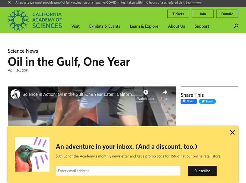 California Academy of Sciences: Gulf Oil Spill, One Year Later Instructional Video California Academy of Sciences: Gulf Oil Spill, One Year Later Instructional Video