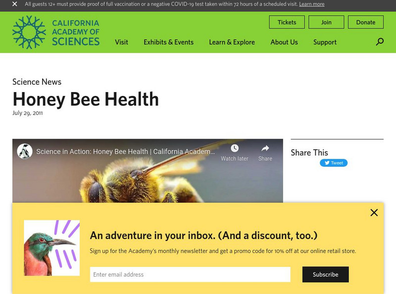 California Academy of Sciences: Healy Hamilton: New Caledonia Expedition Instructional Video California Academy of Sciences: Healy Hamilton: New Caledonia Expedition Instructional Video