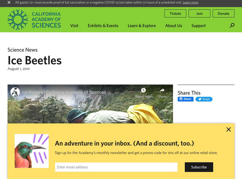 California Academy of Sciences: Human Tool Use Instructional Video California Academy of Sciences: Human Tool Use Instructional Video