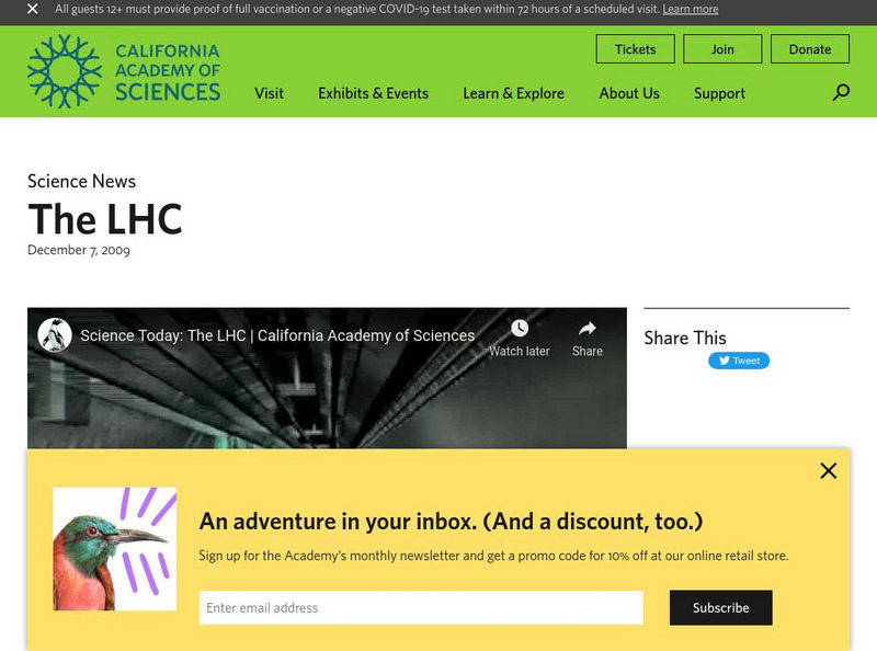 California Academy of Sciences: John Mc Cosker Interview Instructional Video