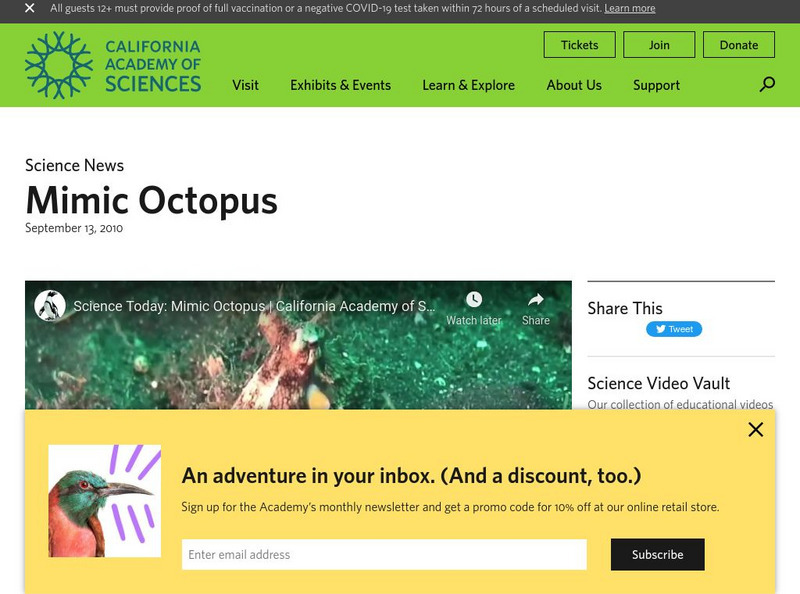 California Academy of Sciences: Mimic Octopus Instructional Video