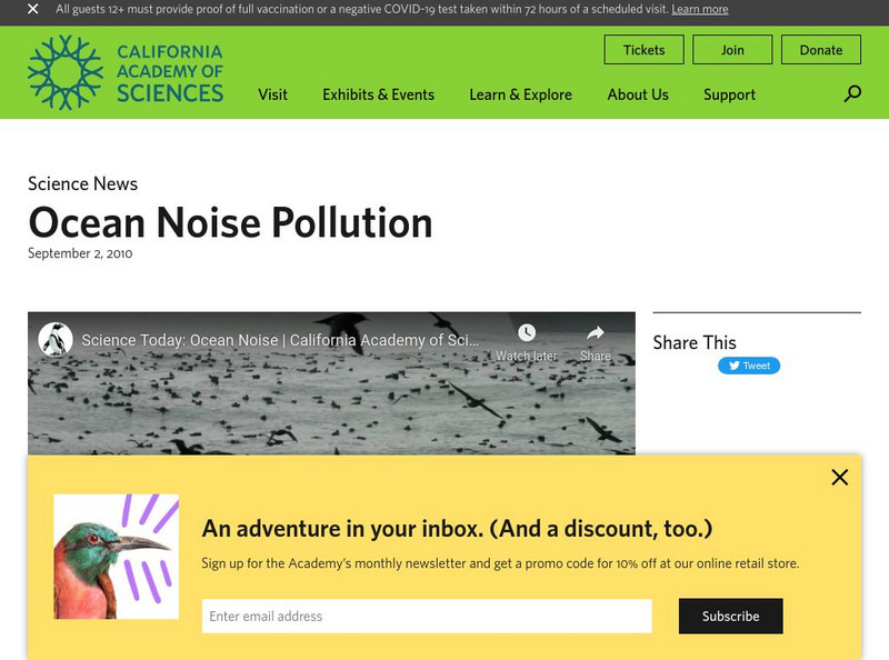 California Academy of Sciences: Ocean Noise Pollution Instructional Video
