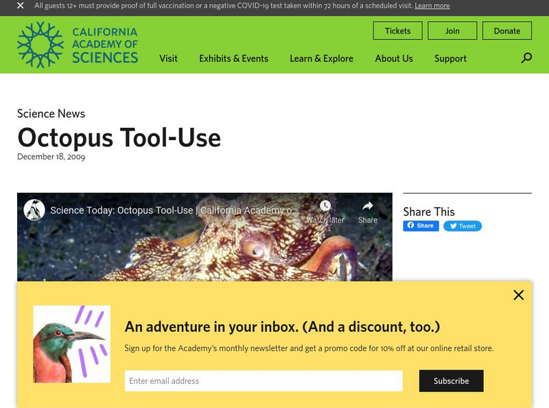 California Academy of Sciences: Octopus Tool Use Instructional Video California Academy of Sciences: Octopus Tool Use Instructional Video