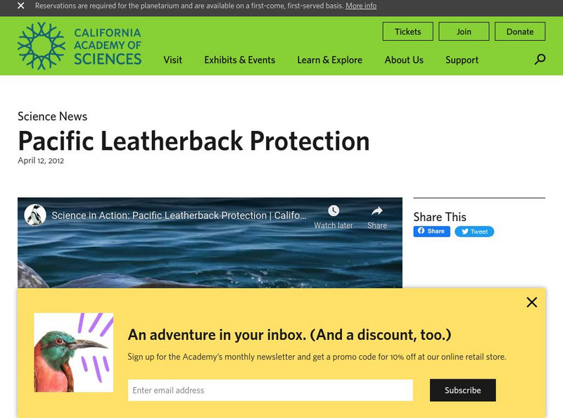 California Academy of Sciences: Pacific Leatherback Protection Instructional Video California Academy of Sciences: Pacific Leatherback Protection Instructional Video