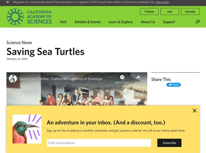 California Academy of Sciences: Saving Sea Turtles Instructional Video