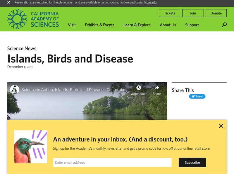 California Academy of Sciences: Science in Action: Islands, Birds, and Disease Instructional Video