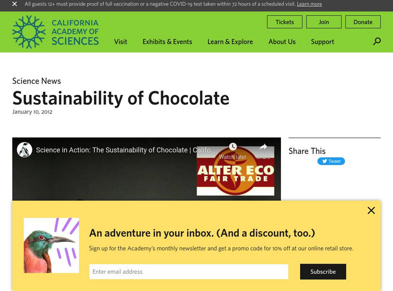 California Academy of Sciences: Science in Action: The Sustainability of Chocolate Instructional Video