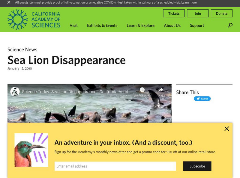 California Academy of Sciences: Sea Lion Disappearance Instructional Video