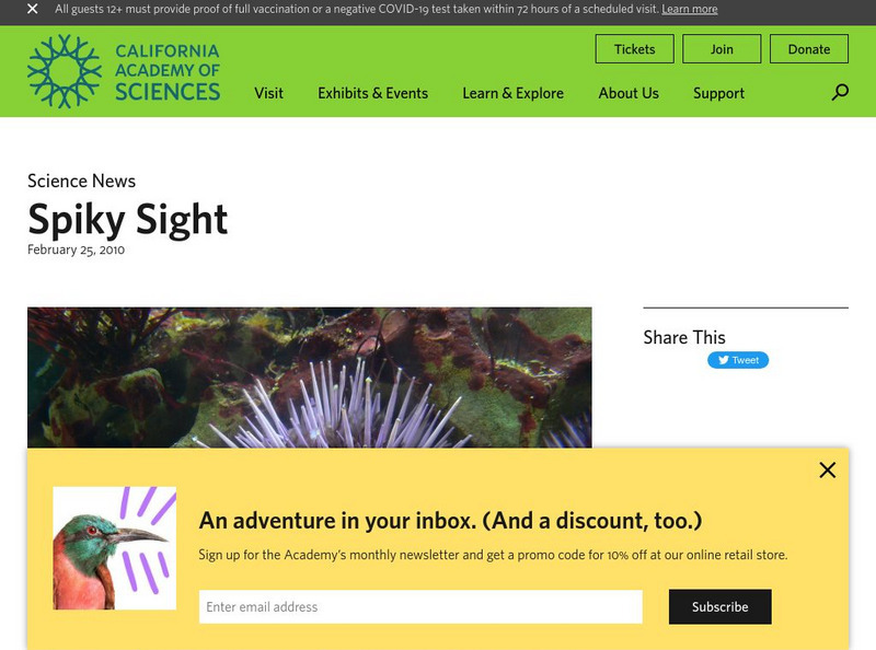 California Academy of Sciences: Spiky Sight Instructional Video California Academy of Sciences: Spiky Sight Instructional Video