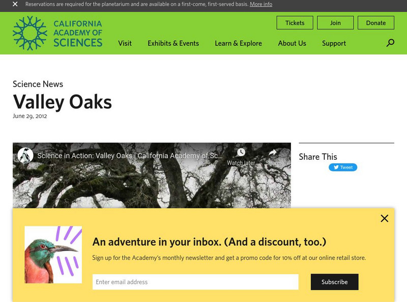 California Academy of Sciences: Valley Oaks Instructional Video California Academy of Sciences: Valley Oaks Instructional Video