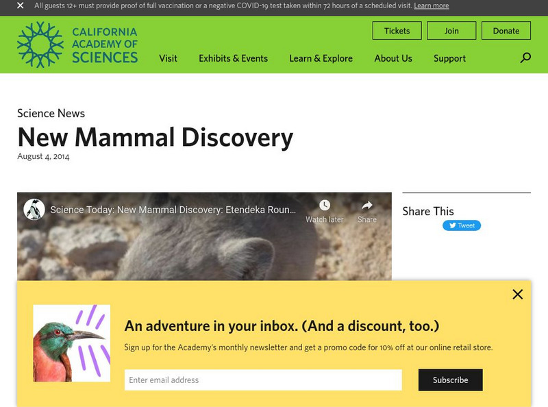 California Academy of Sciences: New Mammal Discovery Sengis (Elephant Shrews) Instructional Video California Academy of Sciences: New Mammal Discovery Sengis (Elephant Shrews) Instructional Video