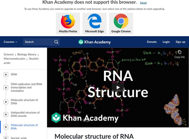 Khan Academy: Biology: Macromolecules: Molecular Structure of Rna Instructional Video