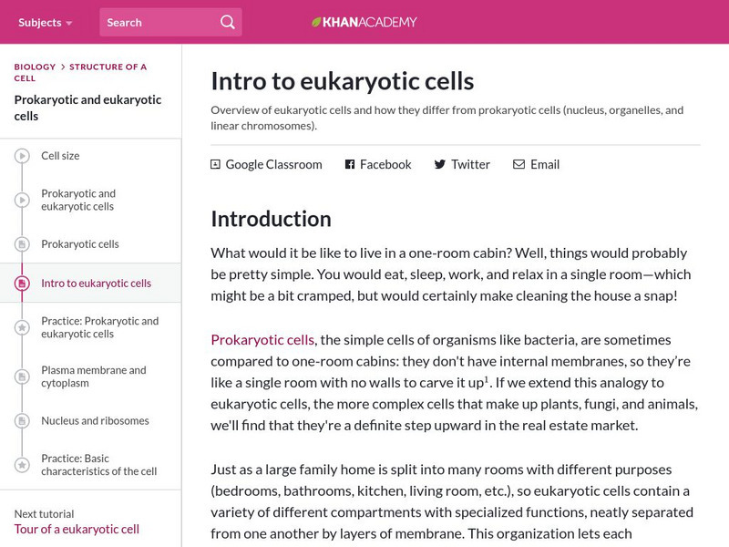 Khan Academy: Biology: Structure of a Cell: Introduction to Eukaryotic Cells Article Khan Academy: Biology: Structure of a Cell: Introduction to Eukaryotic Cells Article