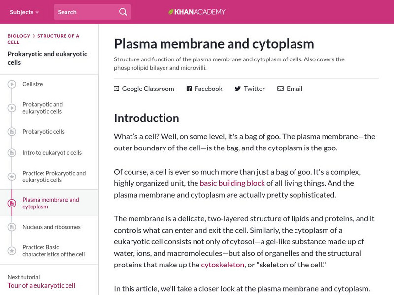 Khan Academy: Plasma Membrane and Cytoplasm Handout Khan Academy: Plasma Membrane and Cytoplasm Handout