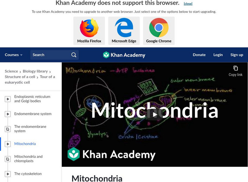 Khan Academy: Mitochondria Instructional Video