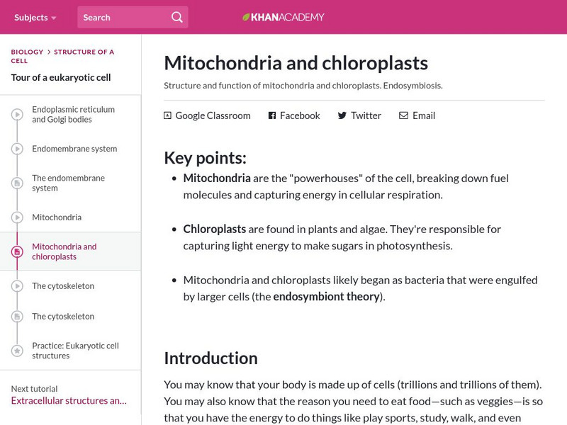 Khan Academy: Mitochondria and Chloroplasts Handout Khan Academy: Mitochondria and Chloroplasts Handout