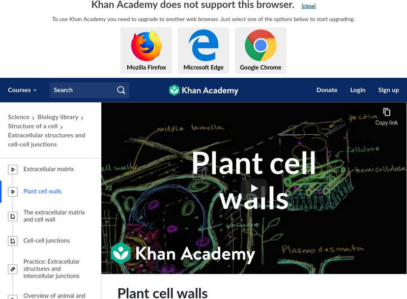 Khan Academy: Plant Cell Walls Instructional Video Khan Academy: Plant Cell Walls Instructional Video