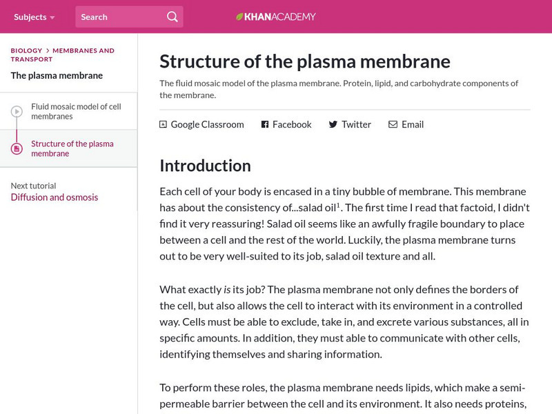 Khan Academy: Structure of the Plasma Membrane Handout Khan Academy: Structure of the Plasma Membrane Handout