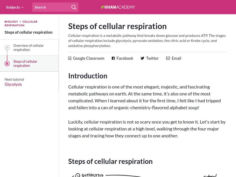 Khan Academy: Steps of Cellular Respiration Handout Khan Academy: Steps of Cellular Respiration Handout