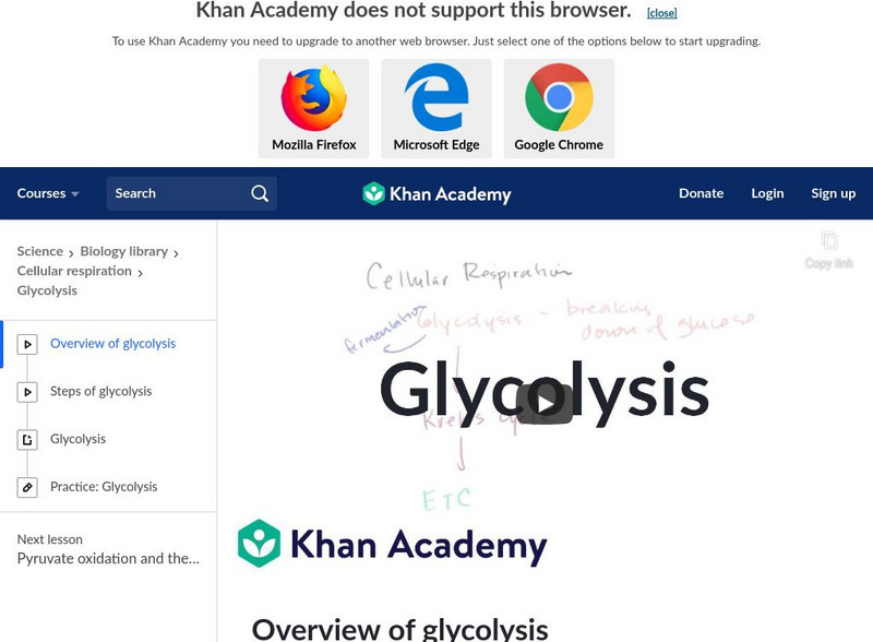 Khan Academy: Overview of Glycolysis Instructional Video