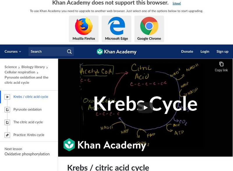 Khan Academy: Krebs/citric Acid Cycle Instructional Video
