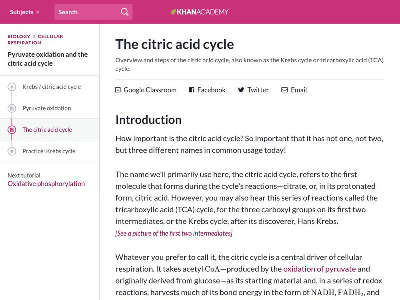 Khan Academy: The Citric Acid Cycle Handout Khan Academy: The Citric Acid Cycle Handout