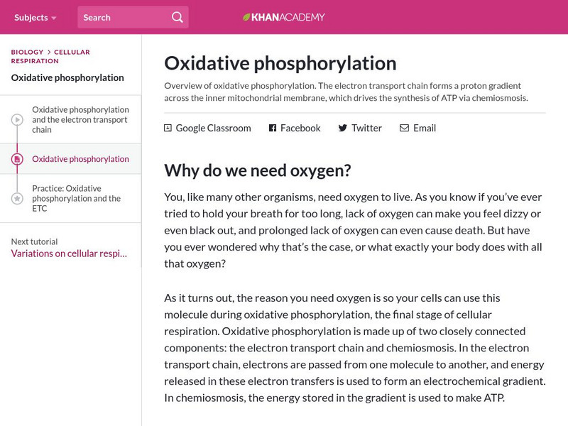Khan Academy: Oxidative Phosphorylation Handout Khan Academy: Oxidative Phosphorylation Handout