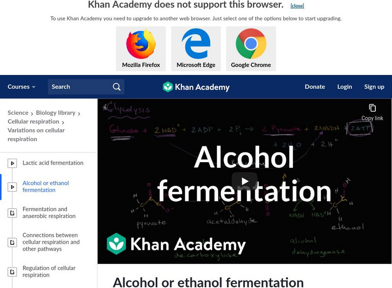 Khan Academy: Alcohol or Ethanol Fermentation Instructional Video Khan Academy: Alcohol or Ethanol Fermentation Instructional Video