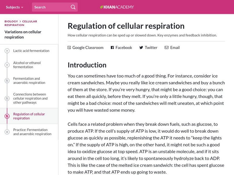 Khan Academy: Regulation of Cellular Respiration Handout Khan Academy: Regulation of Cellular Respiration Handout