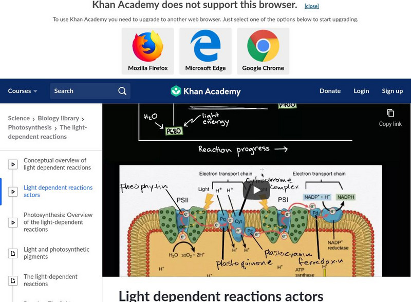 Khan Academy: Light Dependent Reactions Actors Instructional Video Khan Academy: Light Dependent Reactions Actors Instructional Video