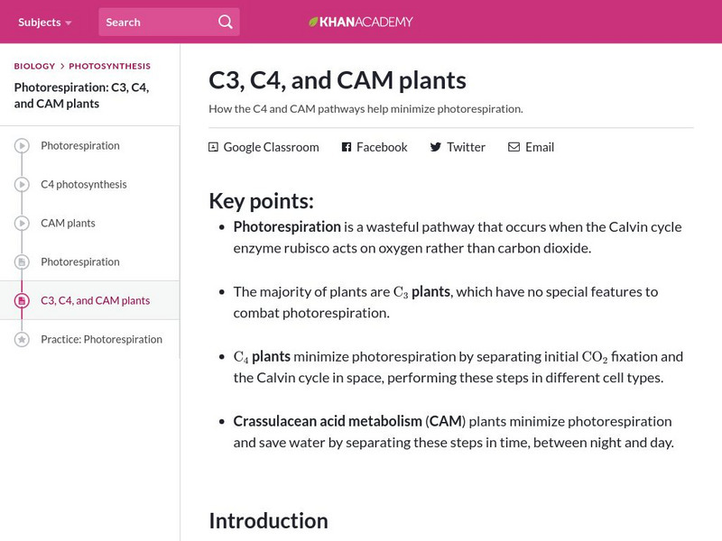 Khan Academy: C3, C4, and Cam Plants Handout