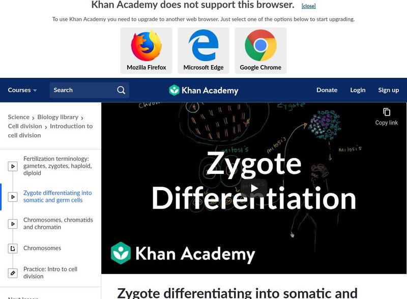 Khan Academy: Zygote Differentiating Into Somatic and Germ Cells Instructional Video Khan Academy: Zygote Differentiating Into Somatic and Germ Cells Instructional Video