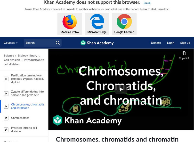 Khan Academy: Chromosomes, Chromatids and Chromatin Instructional Video Khan Academy: Chromosomes, Chromatids and Chromatin Instructional Video