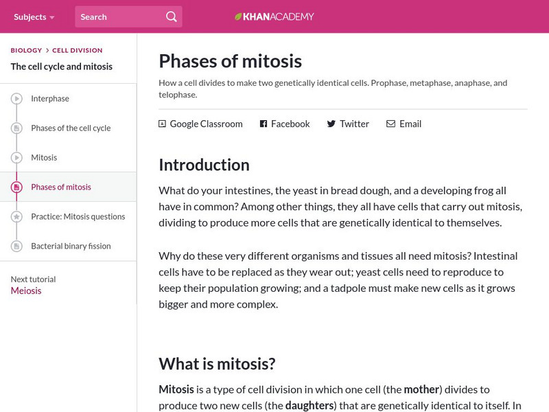 Khan Academy: Phases of Mitosis Handout Khan Academy: Phases of Mitosis Handout