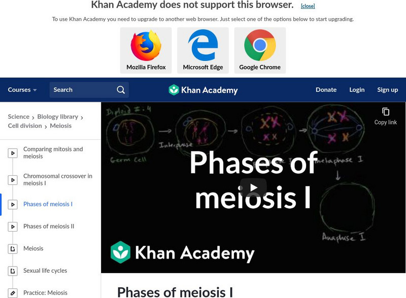 Khan Academy: Phases of Meiosis I Instructional Video Khan Academy: Phases of Meiosis I Instructional Video